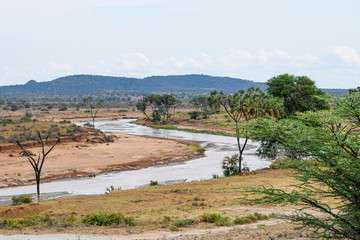 Ewaso Nyiro in Samburu National Park, Kenya