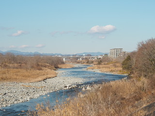 冬の河川