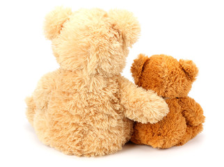 Two toy teddy bears isolated on white background
