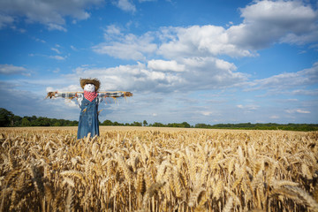 Naklejka na ściany i meble Scarecrow in a Wheatfield
