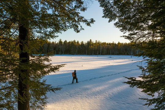 A man snowshoes across a frozen beaver pond on newly conserved land in Epping, New Hampshire.