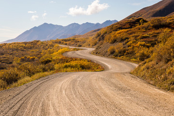 Winding dirt road, Denali National Park, Alaska, USA