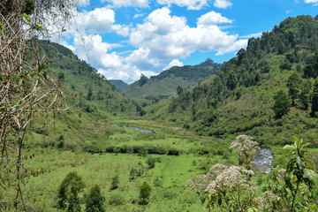 Fototapeta na wymiar Chania River in Nyeri County, Kenya