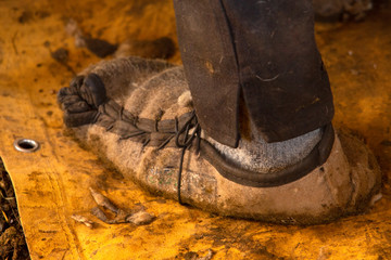 Wool boots of a sheap shearer in a Connecticut barn.