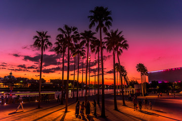 Obraz premium Pink city sunset