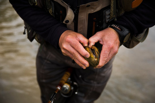 Close up of fisherman opening clam