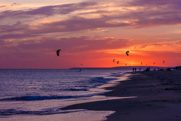 extreme group of professional kiters slide waves, jumps air on black sea with sail wing in hands led wind an sunset, onlookers photographers seagull on shore. village of annunciation. backlit, toned