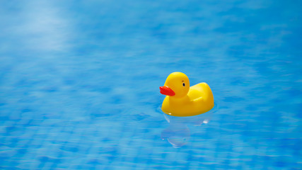 yellow rubber duck in blue swimming pool