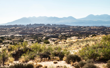 Scenic view in Arches National Park.