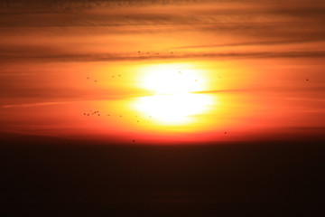 The orange sunset reflected in the small waves. The shimmering waves in the sunset