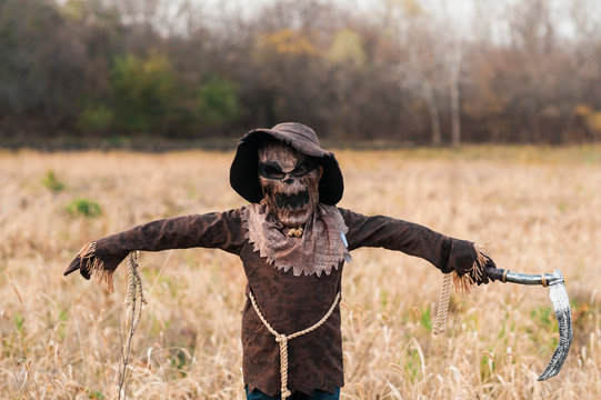 Boy dressed in spooky scarecrow Halloween costume in field