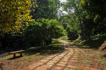 Caminho IMG_9535