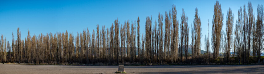 Campo en primavera con flores a la orilla del río