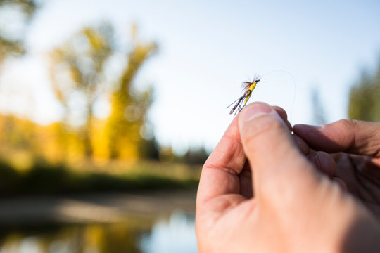 Man holding fly fishing lure
