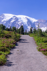 Obraz premium Glacier mountain peak