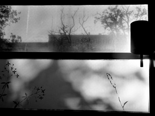 Cienie © ©Elzbieta P.