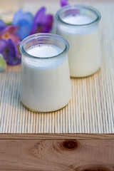Glass of milk yogurt. Homemade milk yogurt in jars in an orchard in summertime. Evening light. Flowers. Blurry background. Soft focus. Closeup. Copy space.