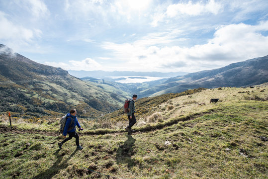 Two backpackers hiking along Mount Herbert Trail, Christchurch, Canterbury, New Zealand