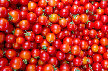 Red tomato cherry background.Group of fresh tomatoes