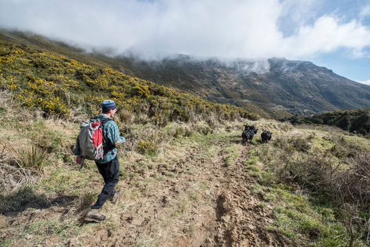 Hiking Mount Herbert Trail, Christchurch, Canterbury, New Zealand