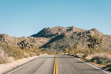 Road in the desert, in Joshua Tree National Park, California