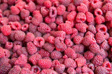 Fresh raspberry background. Texture raspberries berries close up
