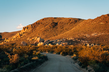 Dirt road and mountains in the desert in Joshua Tree National Park, California