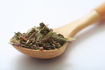 Image of Dundee Lion leaf (herb)