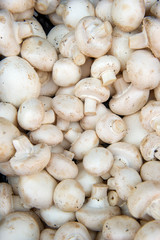 Fresh organic champignon mushrooms background