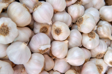 White garlic pile texture. Fresh garlic on market table closeup photo. Vitamin healthy food spice image. Spicy cooking ingredient picture. Pile of white garlic heads.