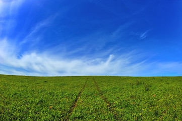 beautiful landscape, green field and blue sky