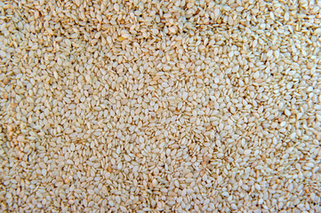 Raw sesame seeds background