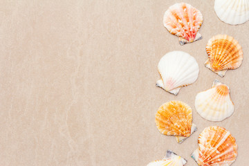 Seashells summer background. Lots of different seashells piled together, top view, close up.