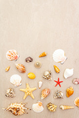 Seashells summer background. Lots of different seashells piled together, top view, copy space, frame.