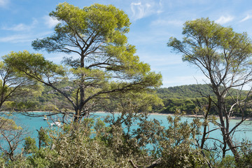 Beautiful bay in Porquerolles island, in the south of France.