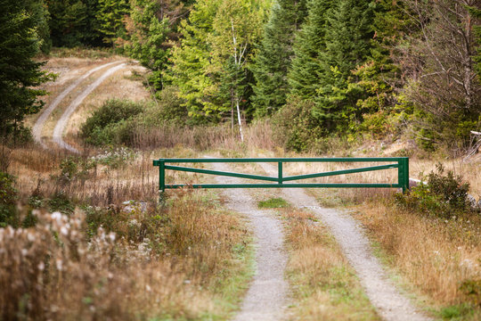 A Closed Gate On Dirt Road In Northern Maine