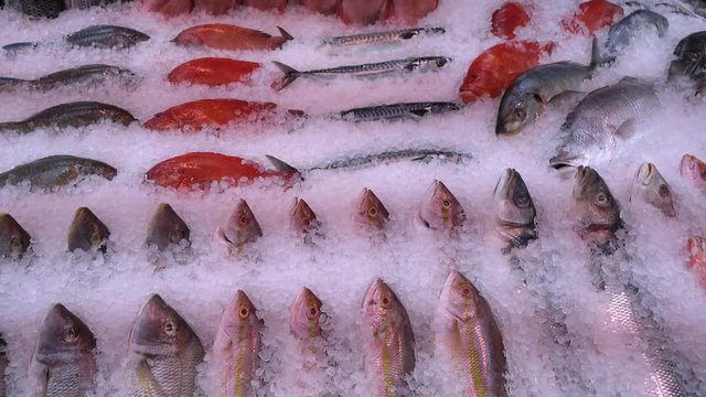 Assortment of fish on ice, displayed on a fishmonger stall