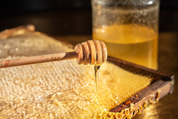 Wooden honey stick. Honey and honey comb.