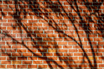 Close-up of brick wall with tree shadows.