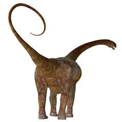 Malawisaurus Dinosaur Tail - Malawisaurus was a herbivorous sauropod dinosaur that lived in Africa during the Cretaceous Period.