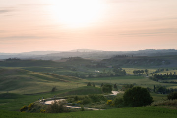 Fototapeta na wymiar Val d'Orcia (or Valdorcia) landscape in Tuscany at sunset, a very popular travel destination in Italy