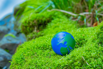 Fototapeta na wymiar 苔　エコロジー　環境問題　地球環境　イメージ
