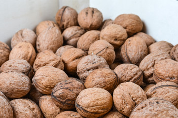 Mature  dried  walnuts   in a wooden box .