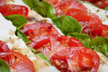 Nahaufnahme - Tomaten - Mozarella mit Basilikum