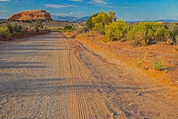 Flowers grow in an arid landscape along the road in Utah.