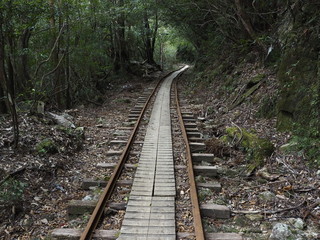 Obraz premium 屋久島