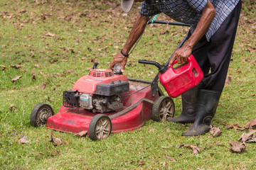 Fototapeta premium Men are adding oil to the lawn mower.