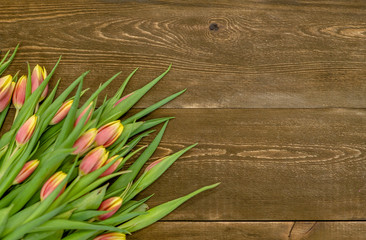 Tulips on brown wooden background. Top view. Backdrop with empty space for text