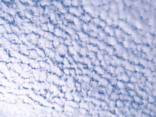 Obraz premium 青空と雲/巻積雲（11月）