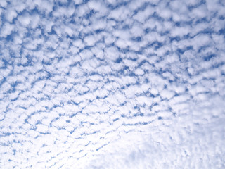 青空と雲/巻積雲（11月）